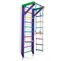 Домашній спорткомплекс Карусель 2-220 см